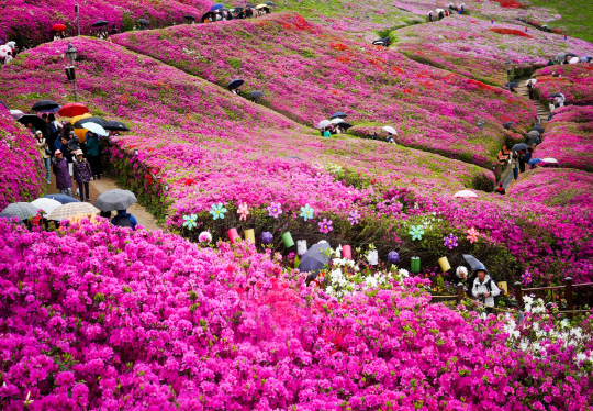 사진제공=군포문화재단